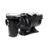 DAB Poolpumpe ESWIM 150 | 230 V | 1,25 kW