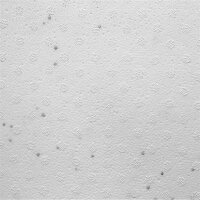 EasyStone Polystyrol Schalungsstein 100 x 25 x 30 cm | EPS 30 | Styropor