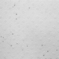 EasyStone Polystyrol Schalungsstein 100 x 25 x 25 cm | EPS 30 | Styropor