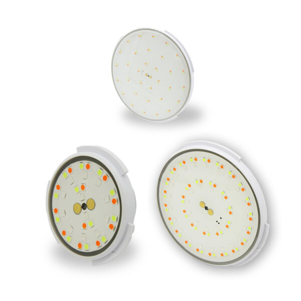Trend Pool LED Leuchtmittel DVM | RGB | versch. Ausführungen